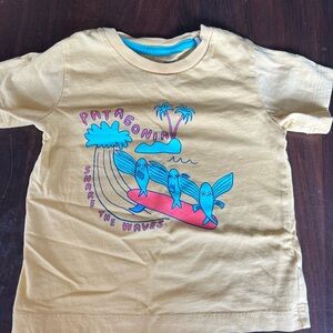 Patagonia tshirt